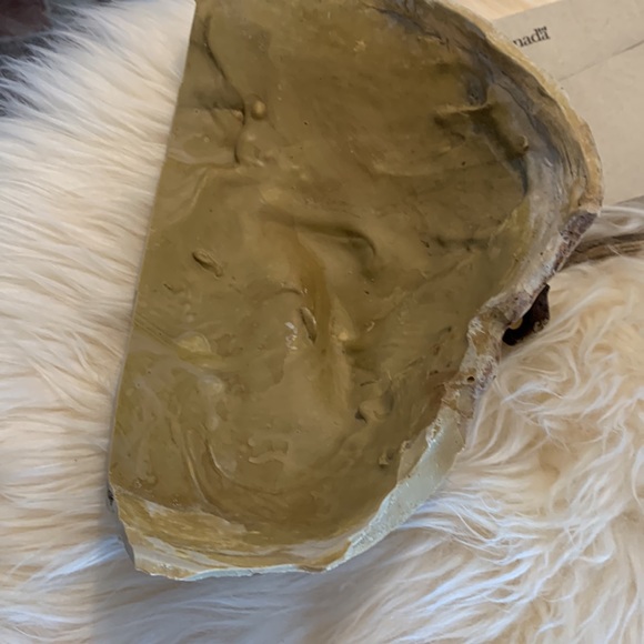 Lizard cave and driftwood - Picture 5 of 7